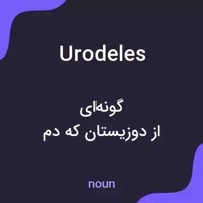 معنی urodeles به فارسی معنی urodeles به فارسی