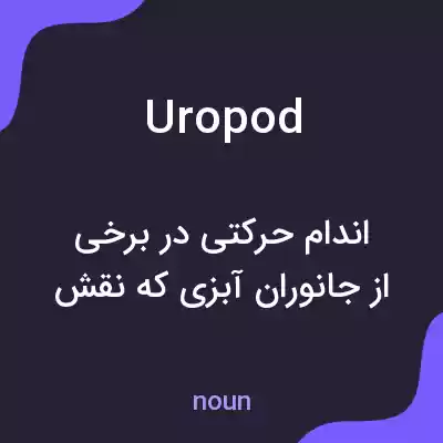 معنی uropod به فارسی معنی uropod به فارسی