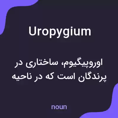 معنی uropygium به فارسی معنی uropygium به فارسی