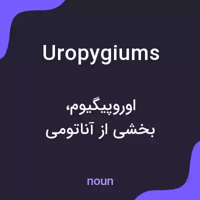 معنی uropygiums به فارسی معنی uropygiums به فارسی