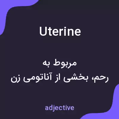معنی uterine به فارسی معنی uterine به فارسی
