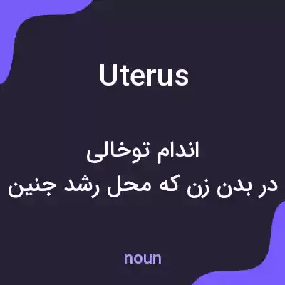 معنی uterus به فارسی
