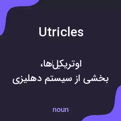 معنی utricles به فارسی
