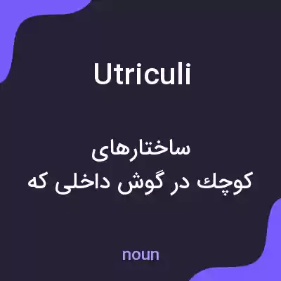 معنی utriculi به فارسی معنی utriculi به فارسی