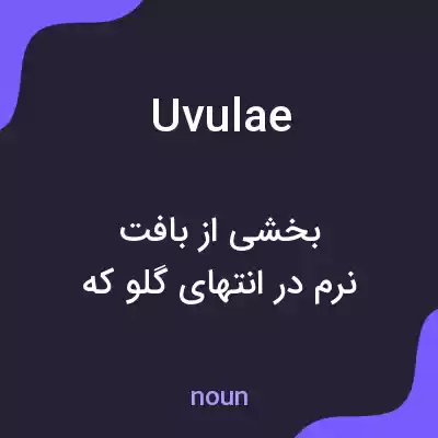 معنی uvulae به فارسی معنی uvulae به فارسی