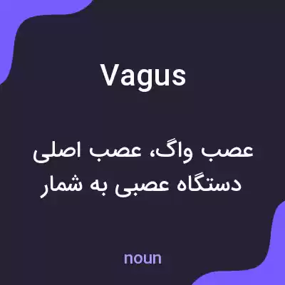 معنی vagus به فارسی معنی vagus به فارسی