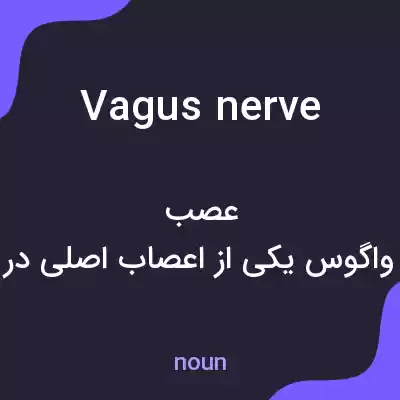 معنی vagus nerve به فارسی معنی vagus nerve به فارسی