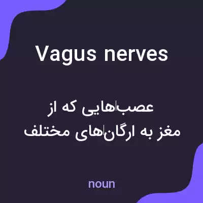 معنی vagus nerves به فارسی معنی vagus nerves به فارسی