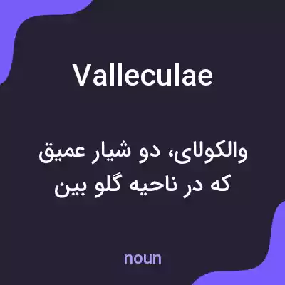 معنی valleculae به فارسی معنی valleculae به فارسی