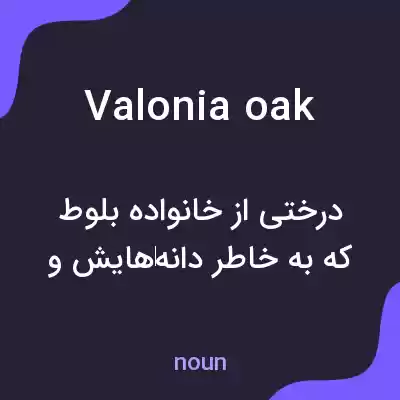 معنی valonia oak به فارسی معنی valonia oak به فارسی