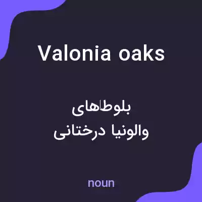 معنی valonia oaks به فارسی معنی valonia oaks به فارسی