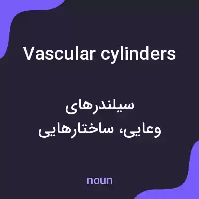 معنی vascular cylinders به فارسی معنی vascular cylinders به فارسی