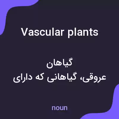 معنی vascular plants به فارسی معنی vascular plants به فارسی