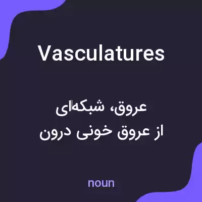 معنی vasculatures به فارسی معنی vasculatures به فارسی