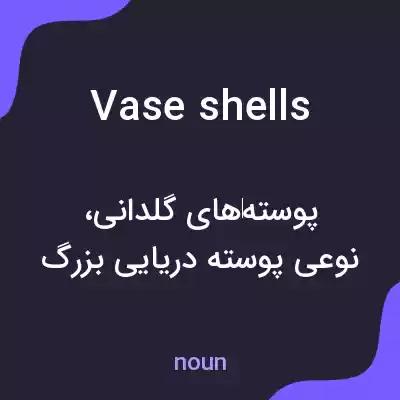 معنی vase shells به فارسی معنی vase shells به فارسی