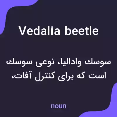 معنی vedalia beetle به فارسی معنی vedalia beetle به فارسی