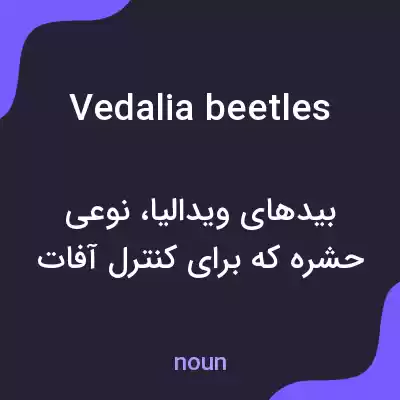 معنی vedalia beetles به فارسی معنی vedalia beetles به فارسی