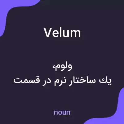 معنی velum به فارسی