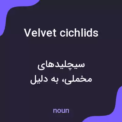 معنی velvet cichlids به فارسی