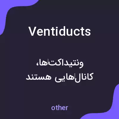 معنی ventiducts به فارسی معنی ventiducts به فارسی
