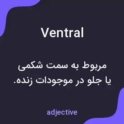 معنی ventral به فارسی معنی ventral به فارسی