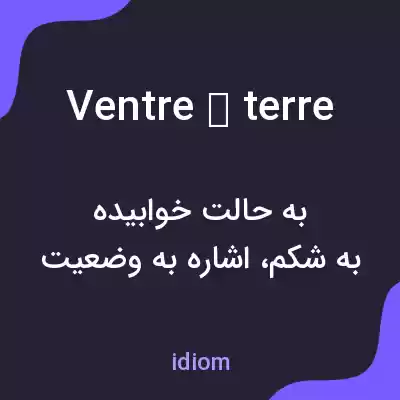 معنی ventre à terre به فارسی معنی ventre à terre به فارسی