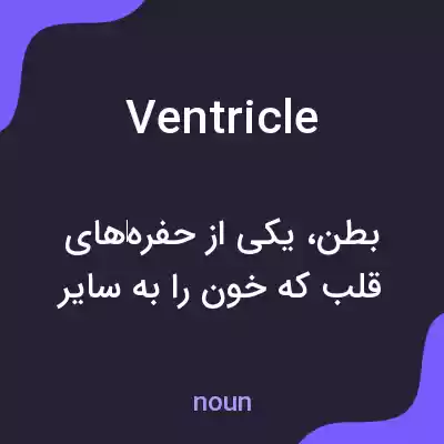معنی ventricle به فارسی معنی ventricle به فارسی