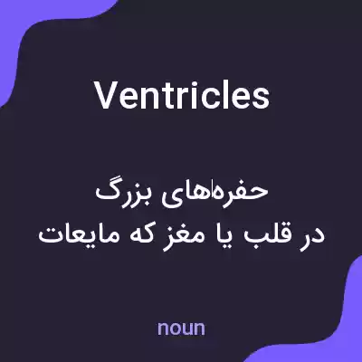 معنی ventricles به فارسی