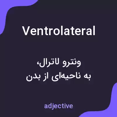معنی ventrolateral به فارسی