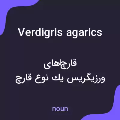 معنی verdigris agarics به فارسی معنی verdigris agarics به فارسی