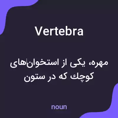 معنی vertebra به فارسی معنی vertebra به فارسی