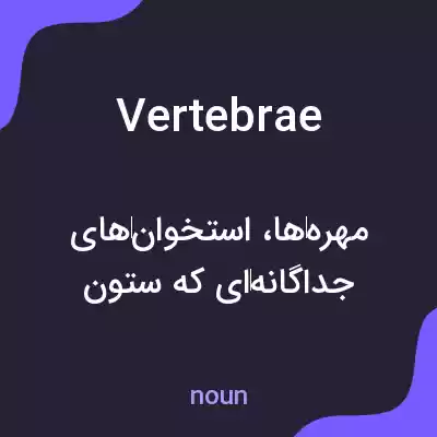 معنی vertebrae به فارسی معنی vertebrae به فارسی