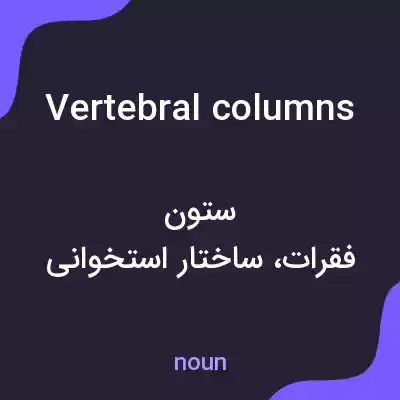 معنی vertebral columns به فارسی معنی vertebral columns به فارسی