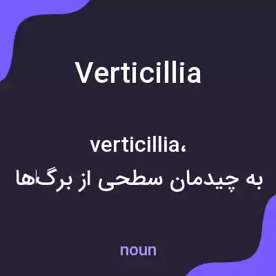 معنی verticillia به فارسی