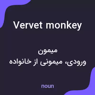 معنی vervet monkey به فارسی معنی vervet monkey به فارسی