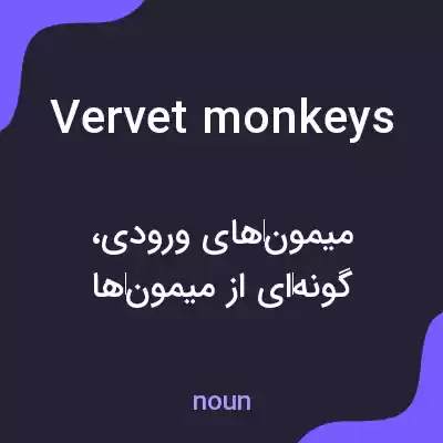 معنی vervet monkeys به فارسی معنی vervet monkeys به فارسی