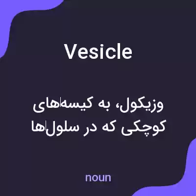 معنی vesicle به فارسی معنی vesicle به فارسی