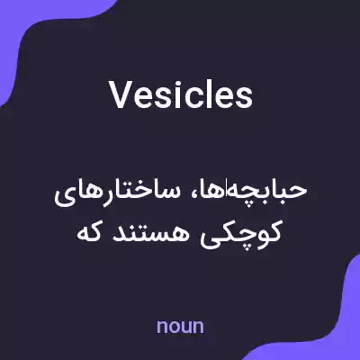 معنی vesicles به فارسی معنی vesicles به فارسی