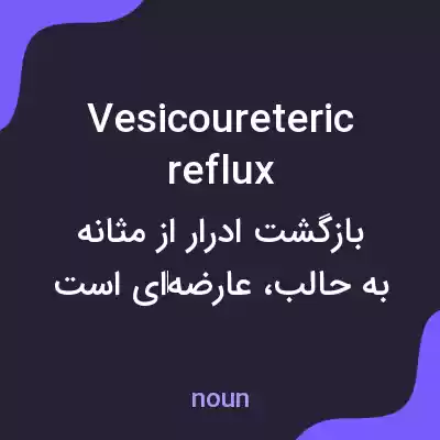 معنی vesicoureteric reflux به فارسی معنی vesicoureteric reflux به فارسی