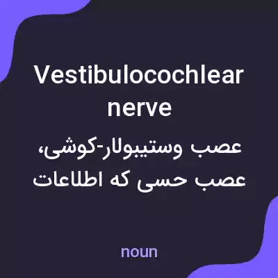 معنی vestibulocochlear nerve به فارسی معنی vestibulocochlear nerve به فارسی