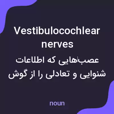 معنی vestibulocochlear nerves به فارسی معنی vestibulocochlear nerves به فارسی