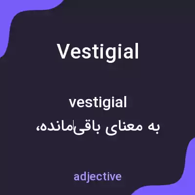 معنی vestigial به فارسی معنی vestigial به فارسی