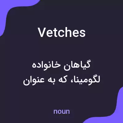 معنی vetches به فارسی معنی vetches به فارسی