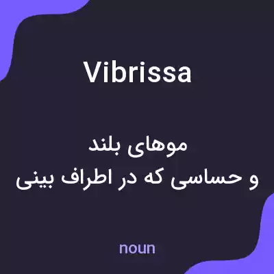 معنی vibrissa به فارسی معنی vibrissa به فارسی