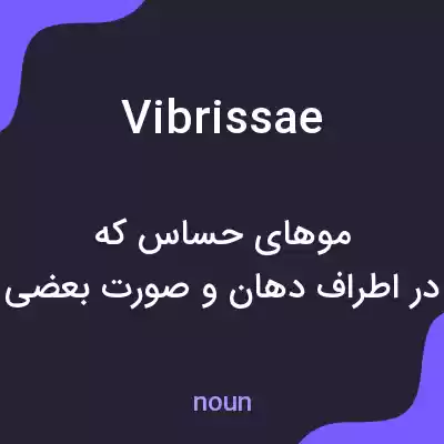 معنی vibrissae به فارسی معنی vibrissae به فارسی
