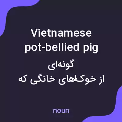 معنی vietnamese pot-bellied pig به فارسی معنی vietnamese pot-bellied pig به فارسی