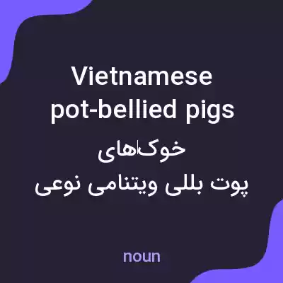 معنی vietnamese pot-bellied pigs به فارسی معنی vietnamese pot-bellied pigs به فارسی