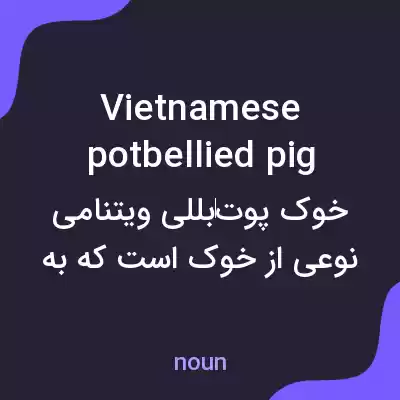 معنی vietnamese potbellied pig به فارسی معنی vietnamese potbellied pig به فارسی