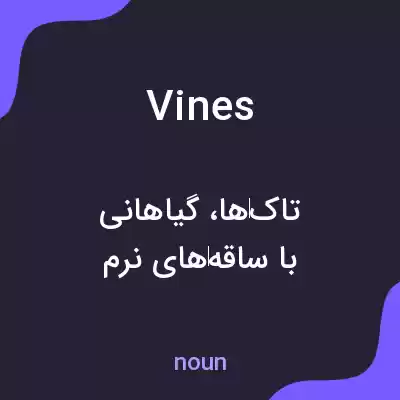 معنی vines به فارسی