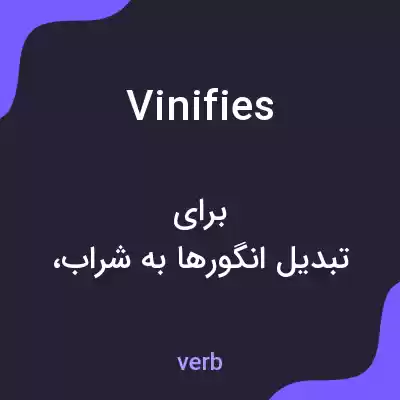 معنی vinifies به فارسی معنی vinifies به فارسی